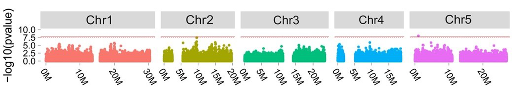 Association analysis with INDELs identified a novel isolated locus around TFL1 in Chr5