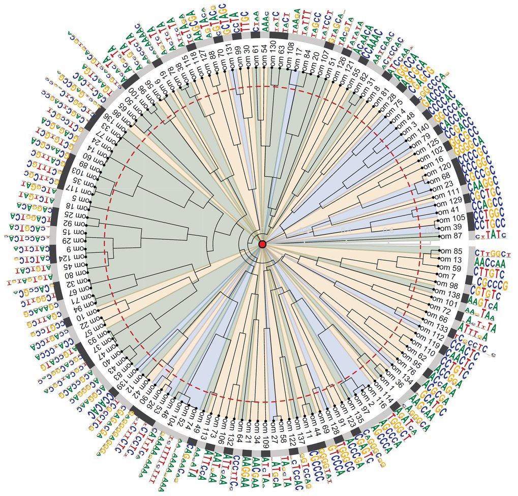 Accurate method for determining active genes<br /> 