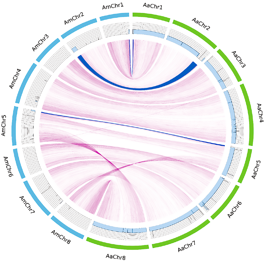 Flowering of annual and perennial plants is delayed by changes in the position and number of <em>MADS</em>-box genes<br /> 