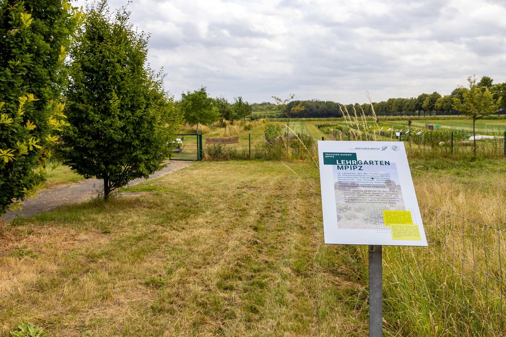 Erfolgreiche Finanzierung für Audioguide im MPIPZ Schaugarten