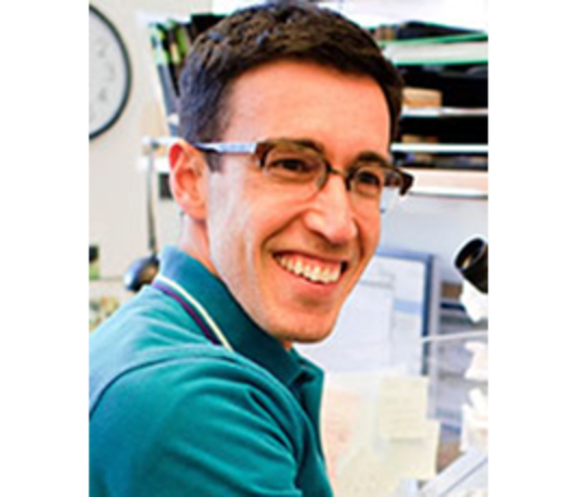 Ofer Rog: Regulating sister interactions during meiosis Ofer Rog: Regulating sister interactions during meiosis